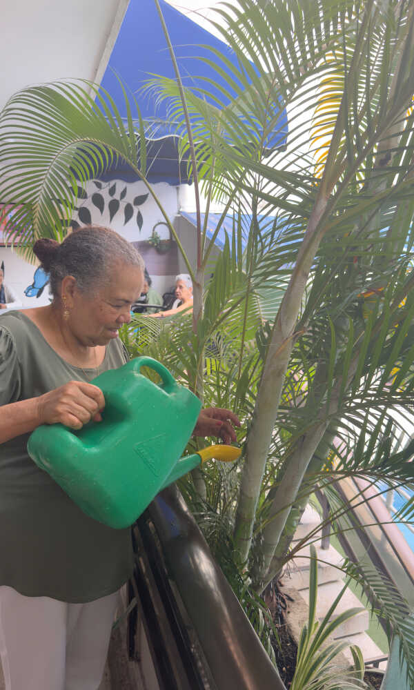 vertical-matas_optimized